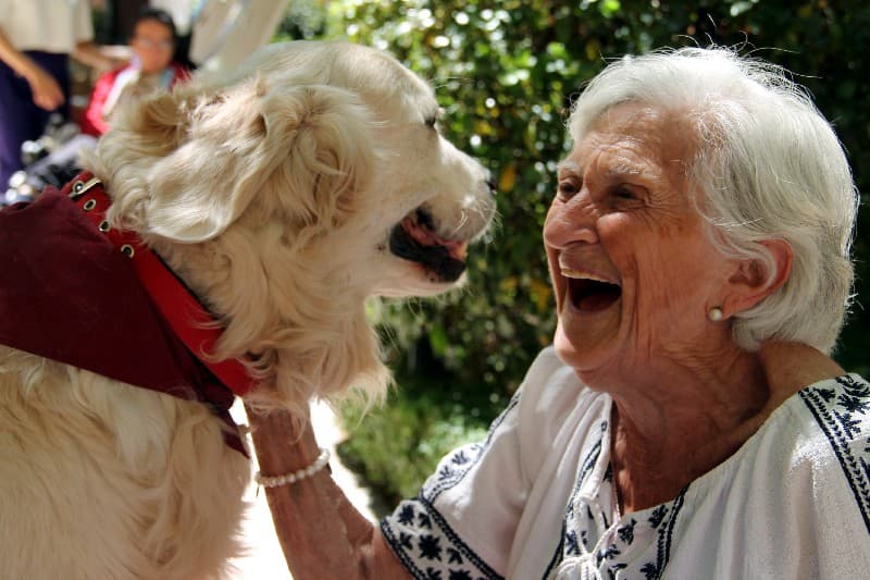 Terapias con perros para mejorar Alzheimer