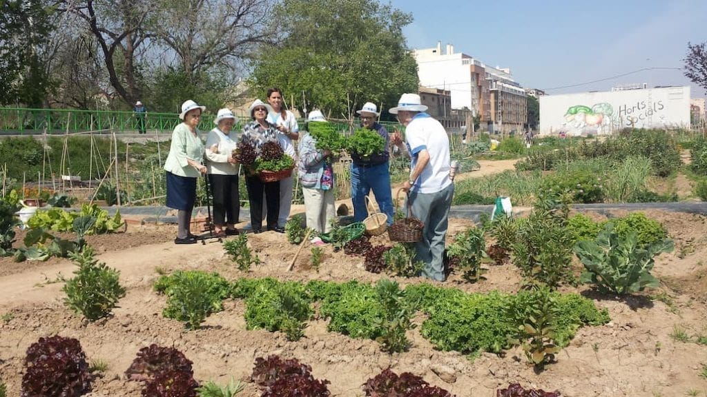 Día del medioambiente2 Cuidado de personas mayores - día del medioambiente